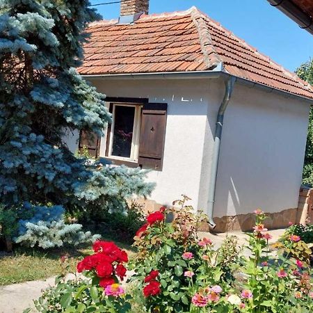 Apartman Nebojsa Rudnik Kačerski Exterior foto