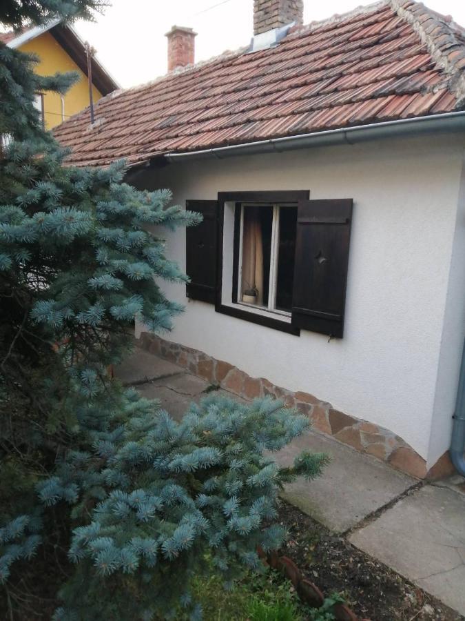 Apartman Nebojsa Rudnik Kačerski Exterior foto