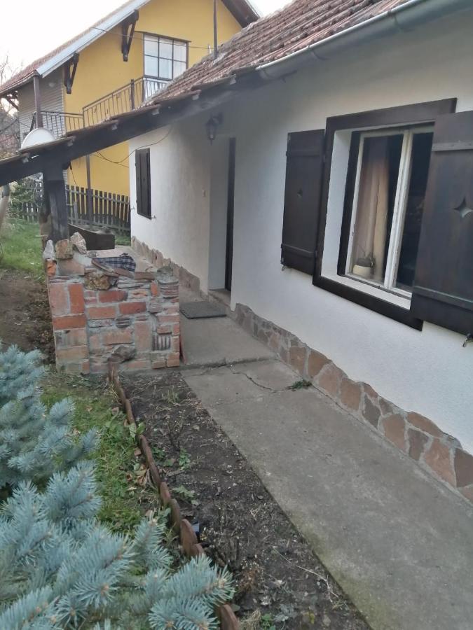 Apartman Nebojsa Rudnik Kačerski Exterior foto