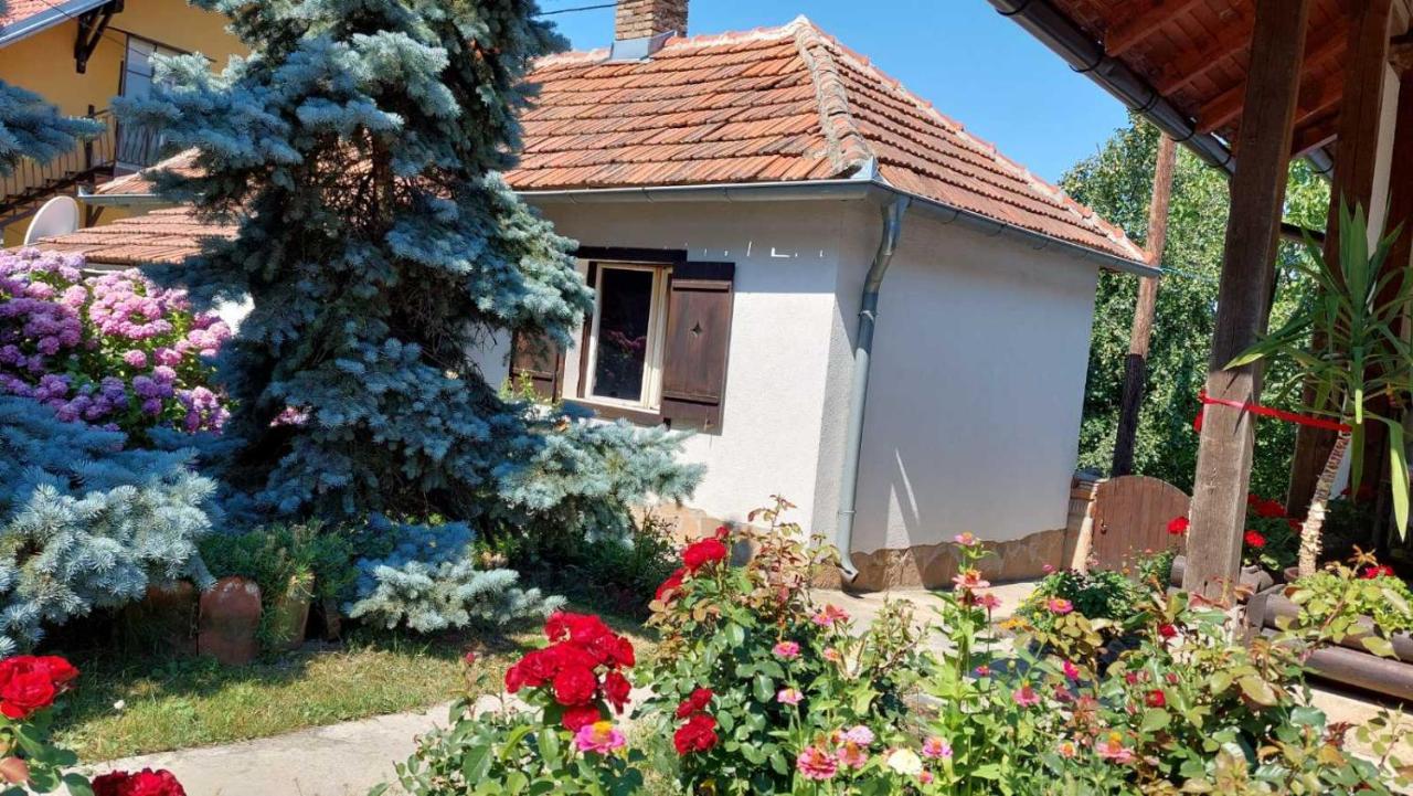 Apartman Nebojsa Rudnik Kačerski Exterior foto