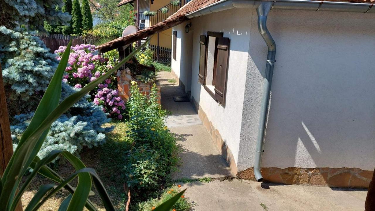 Apartman Nebojsa Rudnik Kačerski Exterior foto