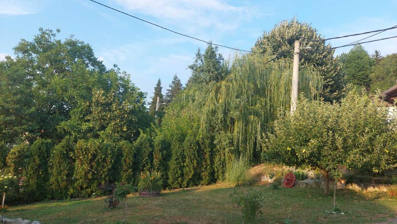 Apartman Nebojsa Rudnik Kačerski Exterior foto